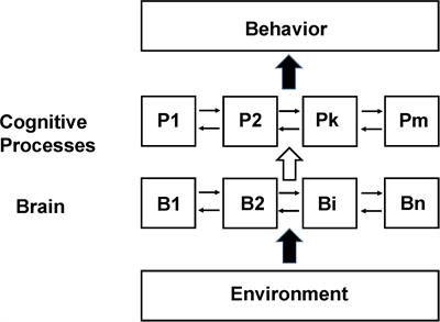 A Non-cognitive Behavioral Model for Interpreting Functional Neuroimaging Studies